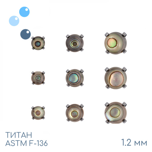 Накрутка Hemi Abalone Shell 1.2 мм фото 2